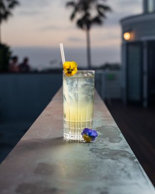 Topside Roof Deck by null