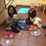 Photo of Friendship Hospital for Animals