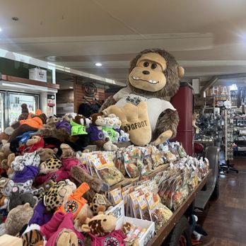 Bravo Farms - They may not have beavers but they've got a cute giant monkey - Dog Parks Near Me - Kettleman City, California Bravo Farms - They may not have beavers but they've got a cute giant monkey - Dog Parks Near Me - Kettleman City, California