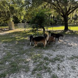 Mount D.O.R.A Dog Park