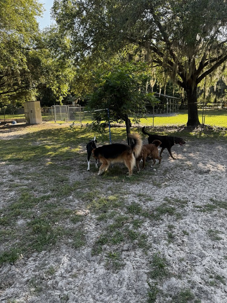 Mount D.O.R.A Dog Park Logo