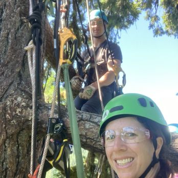 Tree Climbing at Silver Falls - Climbing Near Me - Sublimity, Oregon