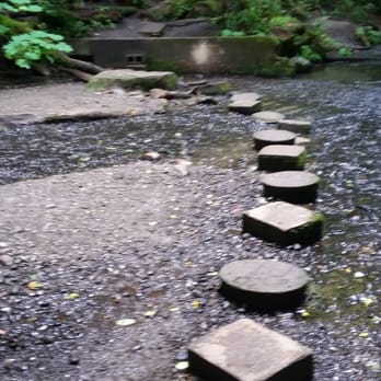 Boeing Creek Park - Parks Near Me - Shoreline, Washington