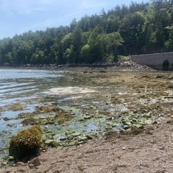 Otter Cove - Acadia National Park - Low tide views