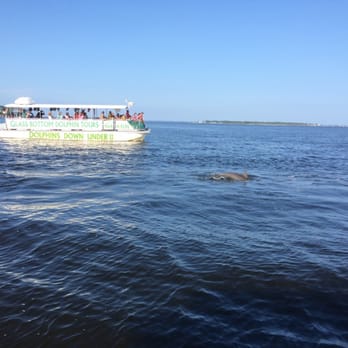 Cruise Orange Beach Dolphin Cruises - Boating Near Me - Orange Beach, Alabama Cruise Orange Beach Dolphin Cruises - Boating Near Me - Orange Beach, Alabama