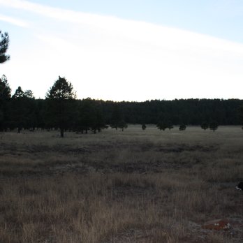 Coconino National Forest - Public Services & Government Near Me - Flagstaff, Arizona