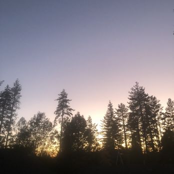 Silver Pines Lodge - Hotels Near Me - Idyllwild, California Silver Pines Lodge - Hotels Near Me - Idyllwild, California