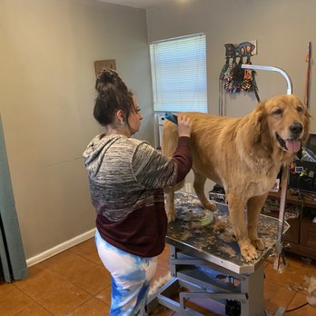 Shop shaggy chic pet grooming Cheap Sale