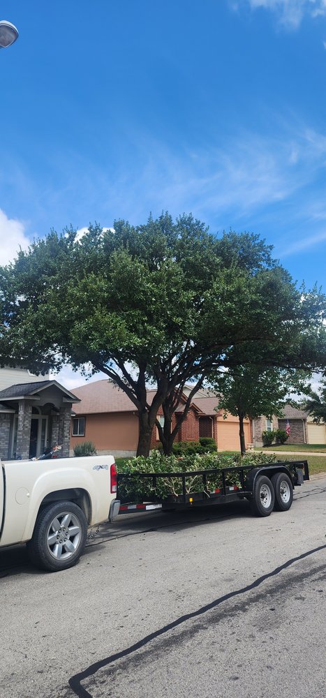 Slide of Gladiator Tree Experts & Landscaping