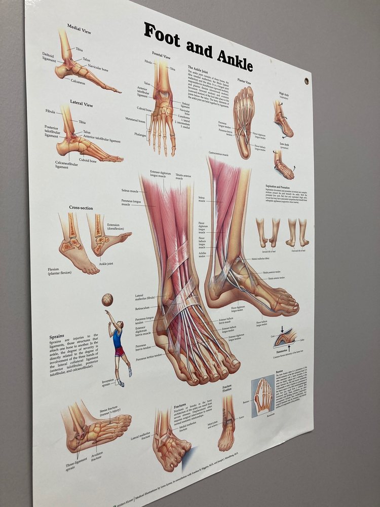 BIEL FOOT & ANKLE SPECIALISTS 19002 Park Row, Houston, TX Yelp