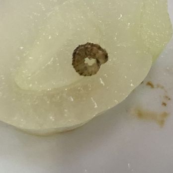Penny's Diner - Live worm fell out of my burger ! - Diners Near Me - Dexter, Missouri