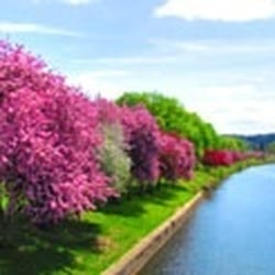 Sid's Super Submarines - Along the Susquehanna