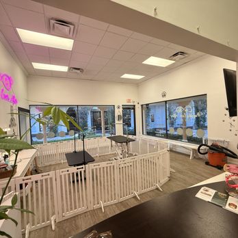 Puppily Ever After - Pet Groomers Near Me - Boca Raton, Florida Puppily Ever After - Pet Groomers Near Me - Boca Raton, Florida