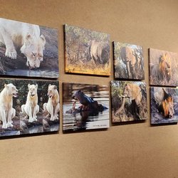Bartlesville Community Center - Michael Louthan Exhibit in the upstairs gallery