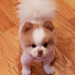 My Baby died from lack of compassion & sympathy at WHB ANIMAL HOSPITAL. We were turned away! My Baby died from lack of compassion & sympathy at WHB ANIMAL HOSPITAL. We were turned away!