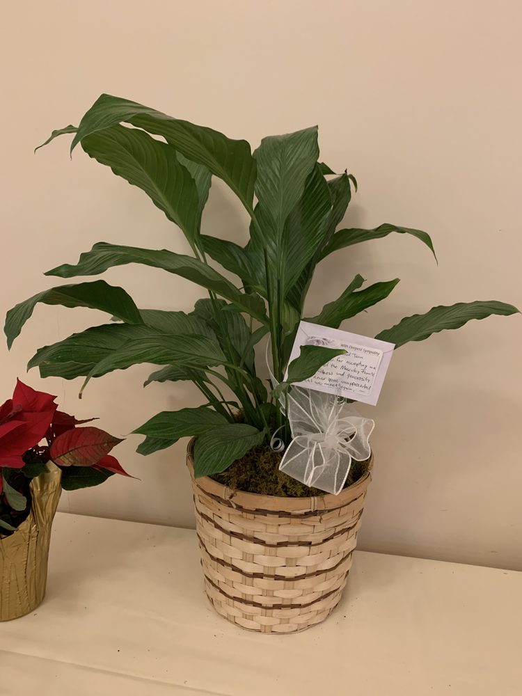 THE FLOWER GARDEN FLORIST Updated October 2024 27 Photos & 15