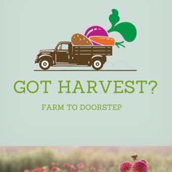 Got Harvest - Got-harvest.com they have FLOWERS TOO - CSA Near Me Got Harvest - Got-harvest.com they have FLOWERS TOO - CSA Near Me