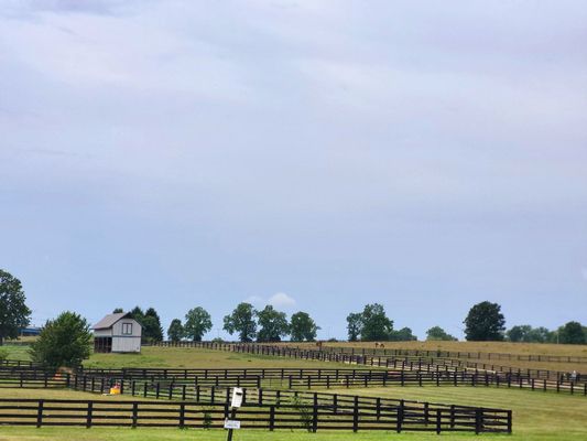 Kentucky Horse Park by null