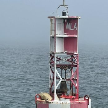 Blue Ocean Whale Watch - Buoy with seals or sea lions, can't remember the difference ‍ - Whale Watching Tours Near Me - Moss Landing, California