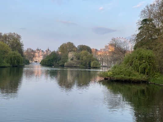 See Your City by null