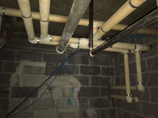 Envirovision Consultants