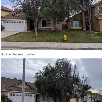ELM Tree Care - Tree Services Near Me - Temecula, California ELM Tree Care - Tree Services Near Me - Temecula, California