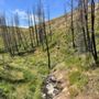 Photo of The Trail Of The Coeur d'Alenes