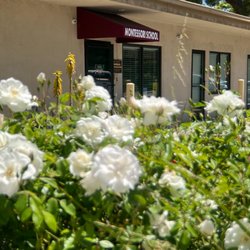 Montessori On the Boulevard - Parking in Preschool