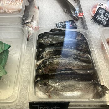 fin - your fishmonger - Rainbow trout and Bronzino - Seafood Markets Near Me - Guilderland, New York fin - your fishmonger - Rainbow trout and Bronzino - Seafood Markets Near Me - Guilderland, New York
