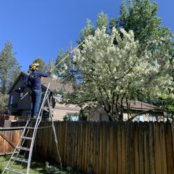 Good View Tree Service