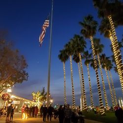 Jack London Square - Waterfront/businesses/ holiday lights