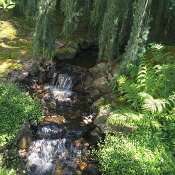 NW Pond Services - Landscaping Near Me NW Pond Services - Landscaping Near Me