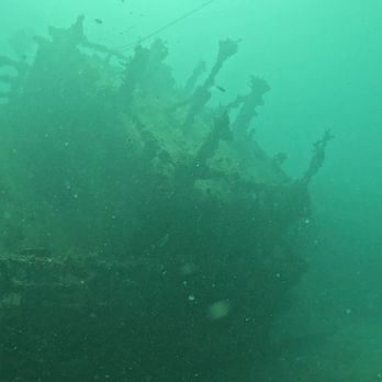 Sea Experience - Scuba Diving Near Me - Fort Lauderdale, Florida Sea Experience - Scuba Diving Near Me - Fort Lauderdale, Florida