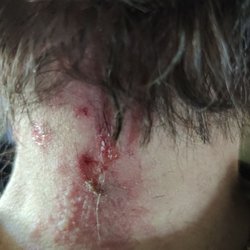 Hairsmith - Wife after Jim's perm