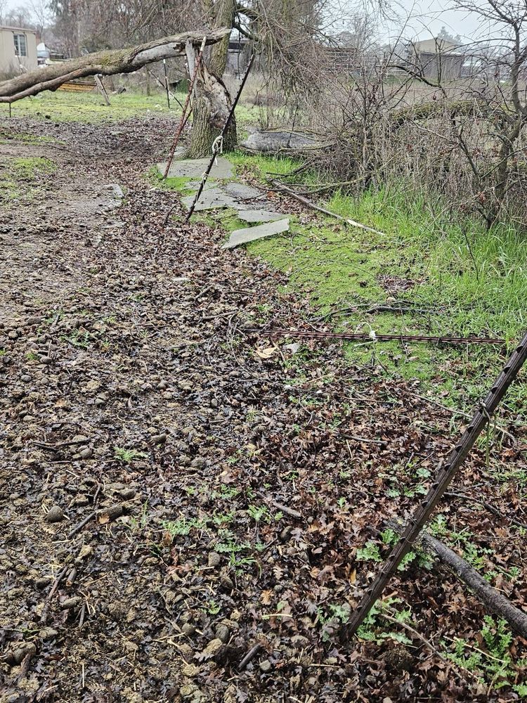 Slide of Mike Walker Lumber