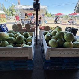 Small selection of imported watermelon. Small selection of imported watermelon.