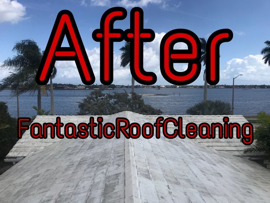 Fantastic Roof Cleaning