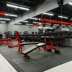 House of Gains Gym