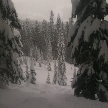 White Pass - Pow field off Junior 911. - Ski Resorts Near Me - Naches, Washington