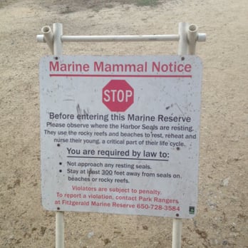 Fitzgerald Marine Reserve - Marine Mammal Notice - Parks Near Me - Moss Beach, California Fitzgerald Marine Reserve - Marine Mammal Notice - Parks Near Me - Moss Beach, California
