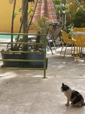 Casa de Amistad by null