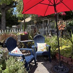 The Cottage Gallery on Los Rios - Lovely garden
