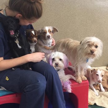 Conejo Valley Veterinary Hospital - Contact Us Today: https://conejovet.com/contact/ - Veterinarians Near Me - Thousand Oaks, California Conejo Valley Veterinary Hospital - Contact Us Today: https://conejovet.com/contact/ - Veterinarians Near Me - Thousand Oaks, California