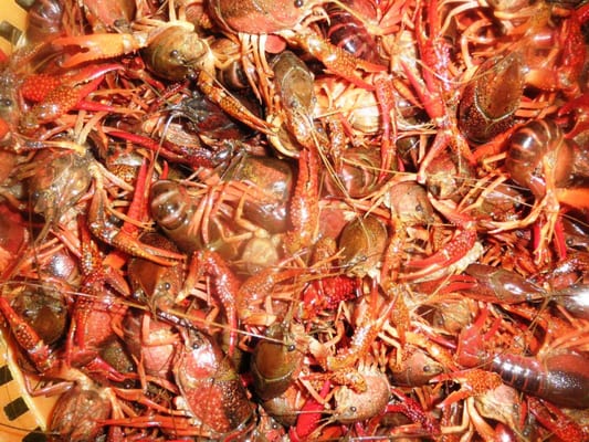 Ward's Seafood Market & Take-Out by null