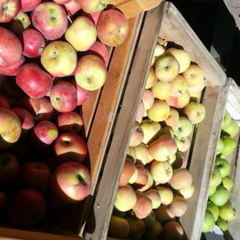 Summerset Farm - Farmers Market Near Me - Santa Ynez, California Summerset Farm - Farmers Market Near Me - Santa Ynez, California