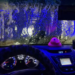 Top Dog Express - This is inside the car wash