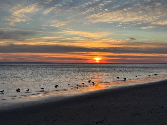 Brighton Beach by null