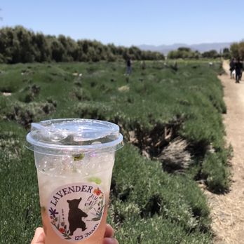 123 Farm - Farmers Market Near Me - Cherry Valley, California