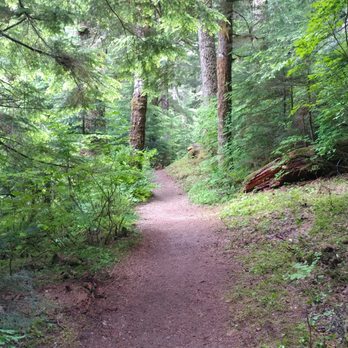 Gifford Pinchot National Forest - Trails - Hiking Near Me