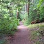Photo of Gifford Pinchot National Forest